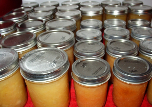 Rows and rows of applesauce.