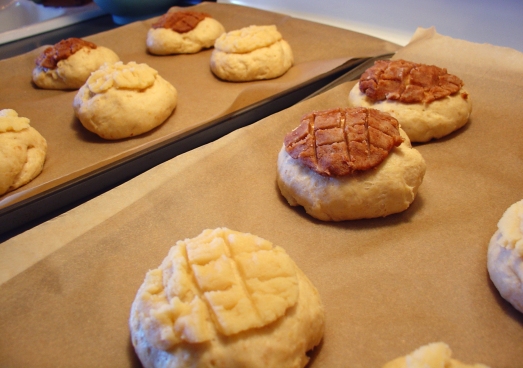 Pan dulce - risen and ready to go in the oven.